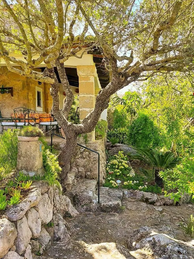 Villa Nord - Typical Majorcan Villa, Private Pool, Bbq, Mediterranean Garden, Petfriendly Pollenca